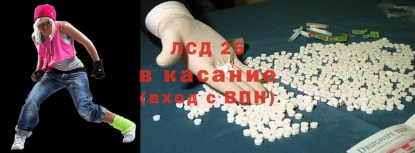 хмурый Бородино