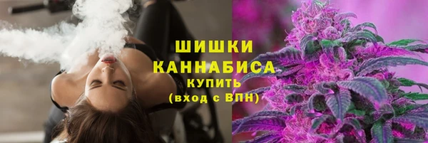 индика Бугульма