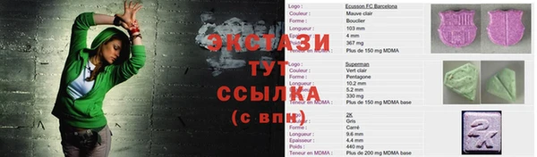 индика Бугульма