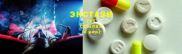 индика Бугульма