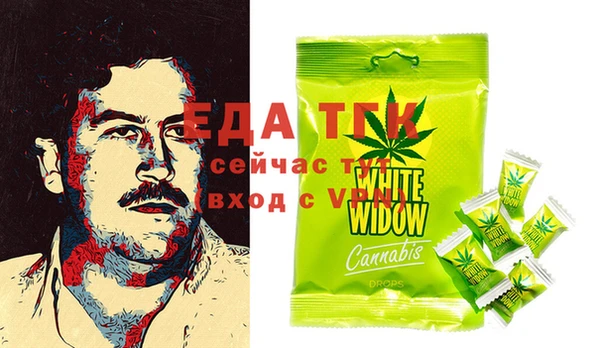 хмурый Бородино