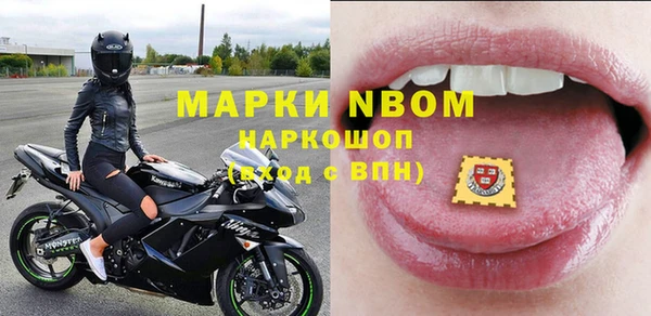 хмурый Бородино