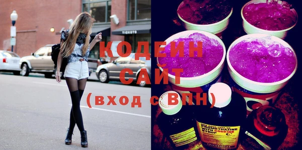 хмурый Бородино