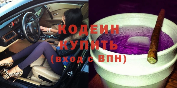 индика Бугульма