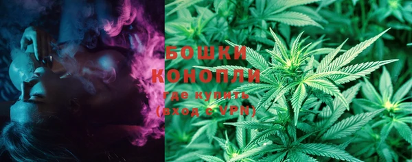 индика Бугульма