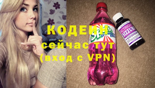 хмурый Бородино