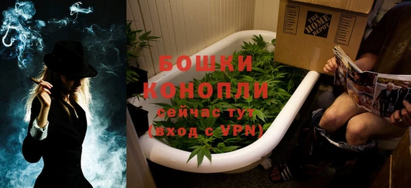 хмурый Бородино