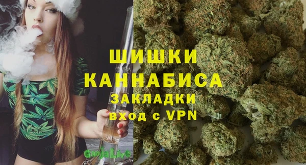 хмурый Бородино