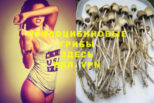 индика Бугульма