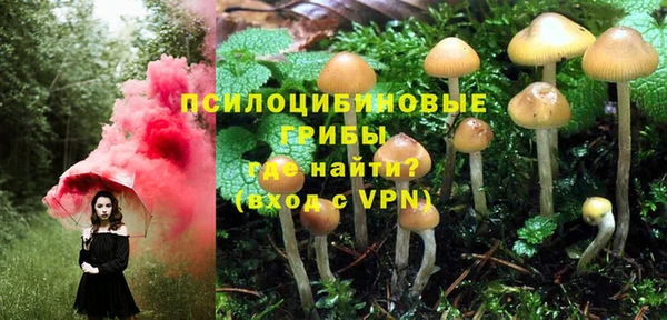 индика Бугульма
