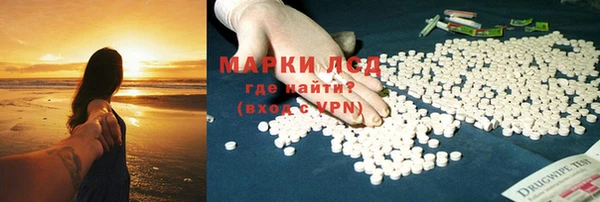 индика Бугульма